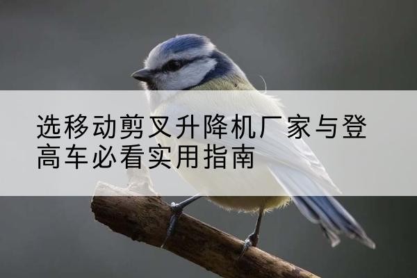 博望电动升降机厂家-选移动剪叉升降机厂家与登高车必看实用指南