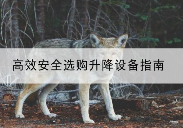 博望升降货梯厂家推荐-*安全选购升降设备指南