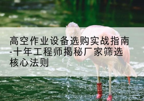 博望剪叉式升降机厂家-高空作业设备选购实战指南-十年工程师揭秘厂家筛选核心法则